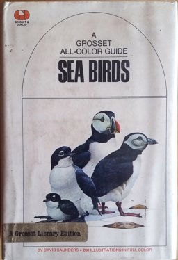 Sea Birds