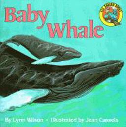 Baby Whale