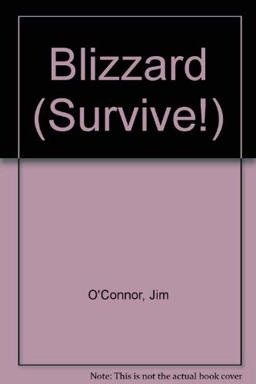 The Blizzard