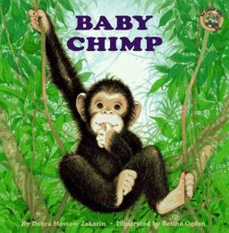 Baby Chimp
