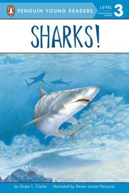 Sharks!  9780448424903 Front Cover