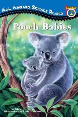 Pouch Babies  9780448451077 Front Cover
