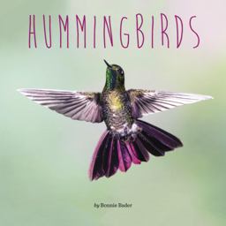 Hummingbirds  9780448487137 Front Cover