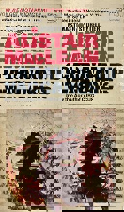 Caravan to Vaccares Caravan to Vaccares