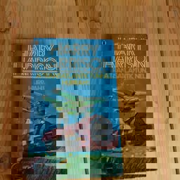 A Transatlantic Tunnel, Hurrah!