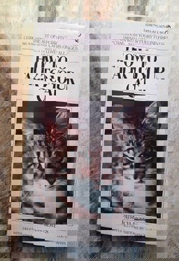 How to Talk to Your Cat