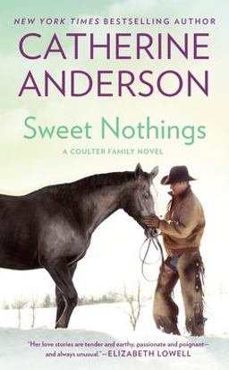 Sweet Nothings  9780451220691 Front Cover