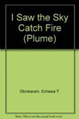 I Saw the Sky Catch Fire