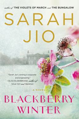 Blackberry Winter A Novel  9780452298385 Front Cover