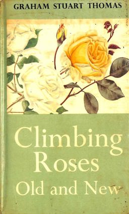 Climbing Roses Old and New