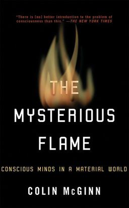 Mysterious Flame Conscious Minds in a Material World  9780465014231 Front Cover