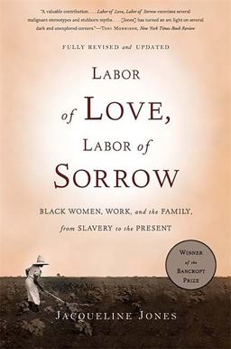 Labor of Love, Labor of Sorrow Black Women, Work, and the Family, from Slavery to the Present 2nd 9780465018819 Front Cover