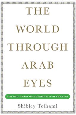 World Through Arab Eyes Arab Public Opinion and the Reshaping of the Middle East  9780465029839 Front Cover