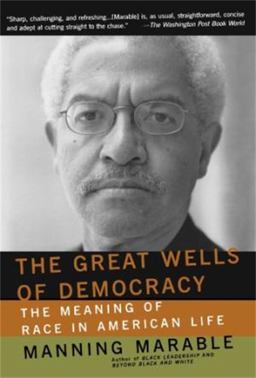 Great Wells of Democracy The Meaning of Race in American Life  9780465043941 Front Cover