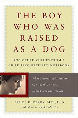 Boy Who Was Raised As a Dog And Other Stories from a Child Psychiatrist's Notebook -- What Traumatized Children Can Teach Us about Loss, Love, and Healing  9780465056538 Front Cover