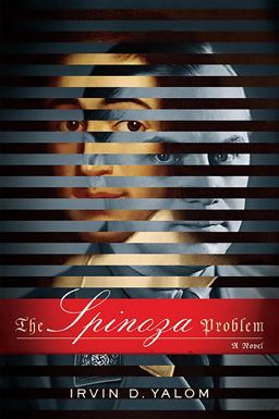 Spinoza Problem A Novel  9780465061853 Front Cover
