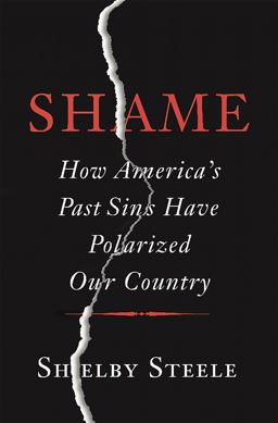 Shame How America's Past Sins Have Polarized Our Country  9780465066971 Front Cover