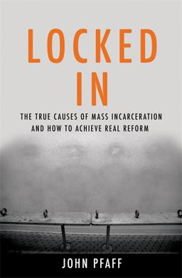 Locked In The True Causes of Mass Incarceration-And How to Achieve Real Reform  9780465096916 Front Cover