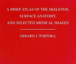 A Brief Atlas of the Human Skeleton