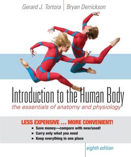 Introduction to the Human Body
