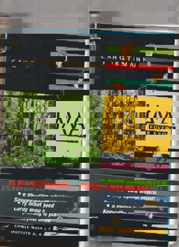 Java for Everyone Binder Ready Version