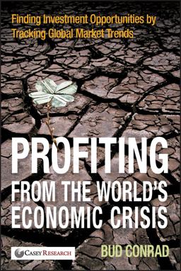 Profiting from the World's Economic Crisis Finding Investment Opportunities by Tracking Global Market Trends  9780470460351 Front Cover