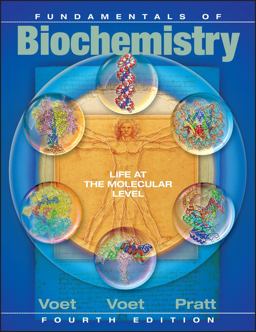 Fundamentals of Biochemistry Life at the Molecular Level 4th 9780470547847 Front Cover