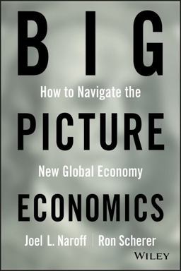 Big Picture Economics How to Navigate the New Global Economy  9780470641811 Front Cover
