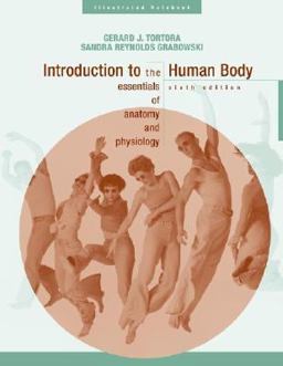 Introduction to the Human Body