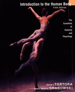 Introduction to the Human Body