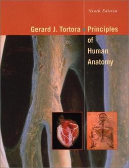 Principles of Human Anatomy