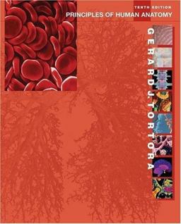 Principles of Human Anatomy