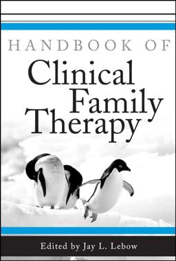 Handbook of Clinical Family Therapy  9780471431343 Front Cover