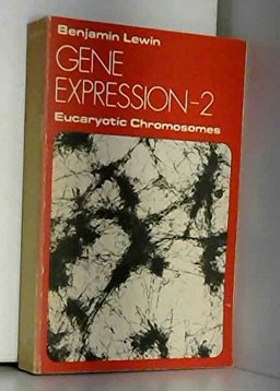 Gene Expression - Encaryotic Chromosomes