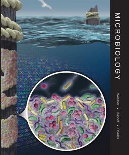 Microbiology  9780471694342 Front Cover
