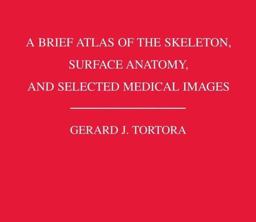A Brief Atlas of the Skeleton Surface Anatomy, and Selected Medical Images