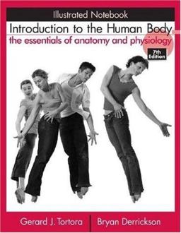 Introduction to the Human Body