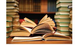 A Primer in Organizational Behavior A Primer in Organizational Behavior