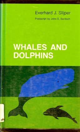 Whales and Dolphins