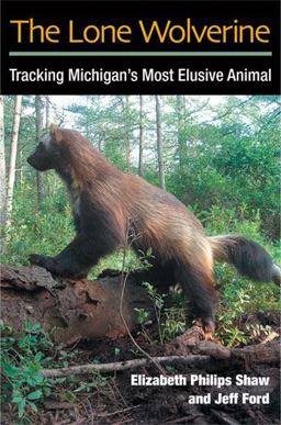 Lone Wolverine Tracking Michigan's Most Elusive Animal  9780472034871 Front Cover