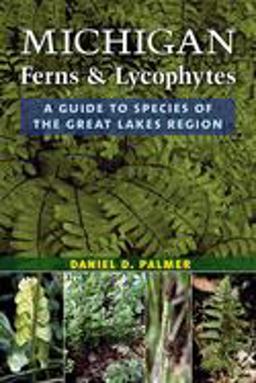 Michigan Ferns &amp; Lycophytes A Guide to Species of the Great Lakes Region  9780472037117 Front Cover