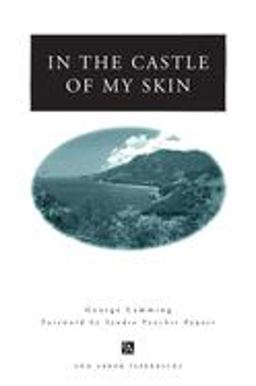 In the Castle of My Skin  9780472064687 Front Cover