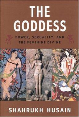 Goddess Power, Sexuality, and the Feminine Divine  9780472089345 Front Cover