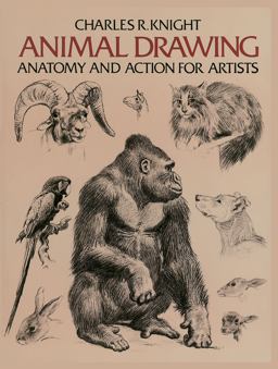 Animal Drawing Anatomy and Action for Artists  9780486204260 Front Cover