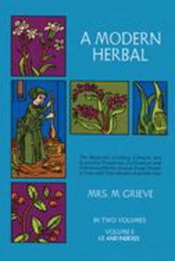 Modern Herbal  9780486227993 Front Cover