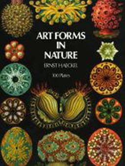 Art Forms in Nature Art Forms in Nature