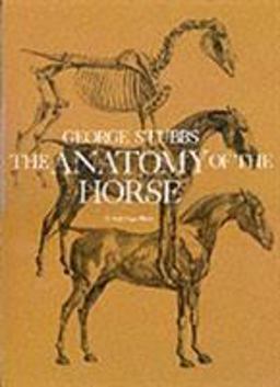 Anatomy of the Horse  9780486234021 Front Cover
