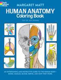 Human Anatomy An Entertaining and Instructive Guide to the Human Body - Bones, Muscles, Blood, Nerves and How They Work  9780486241388 Front Cover
