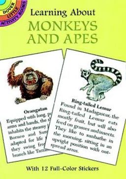 Learning about Monkeys and Apes