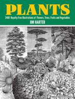 Plants 2400 Copyright-Free Illustrations of Flowers, Trees, Fruits and Vegetables  9780486402642 Front Cover
